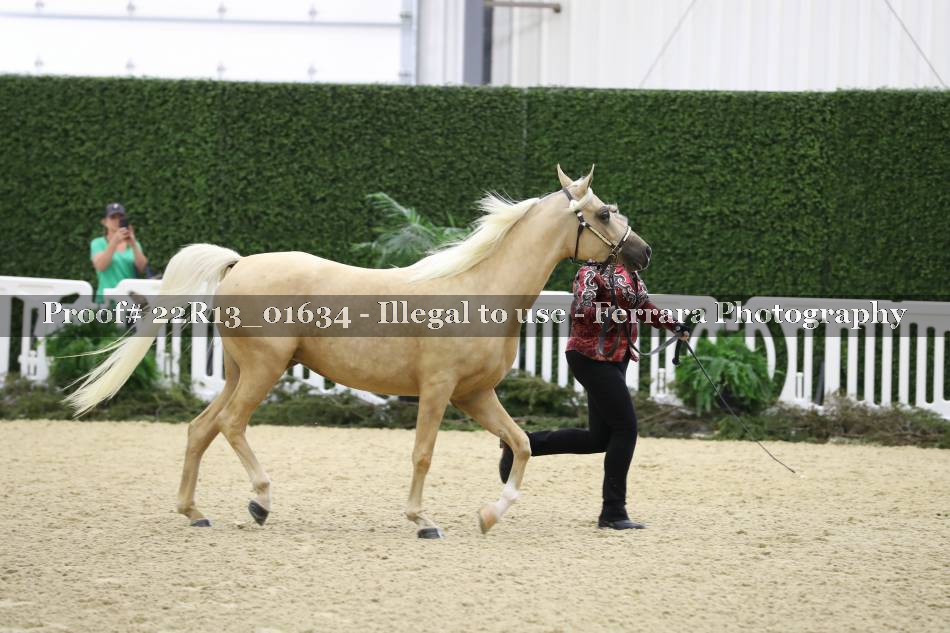 Proof 22R13_01634