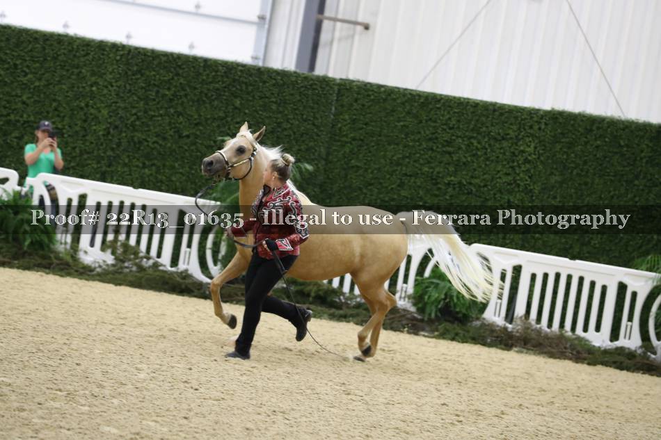 Proof 22R13_01635