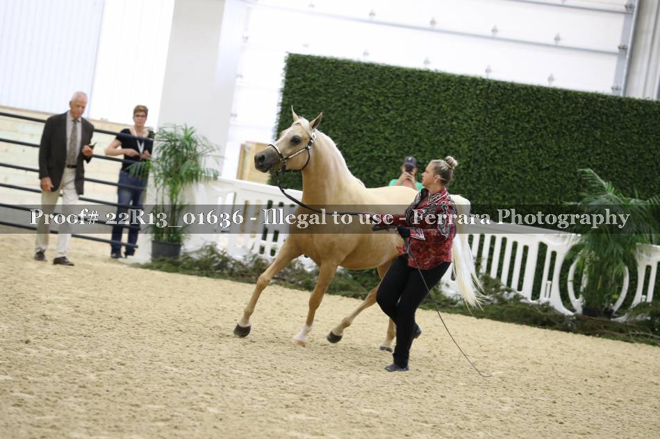 Proof 22R13_01636