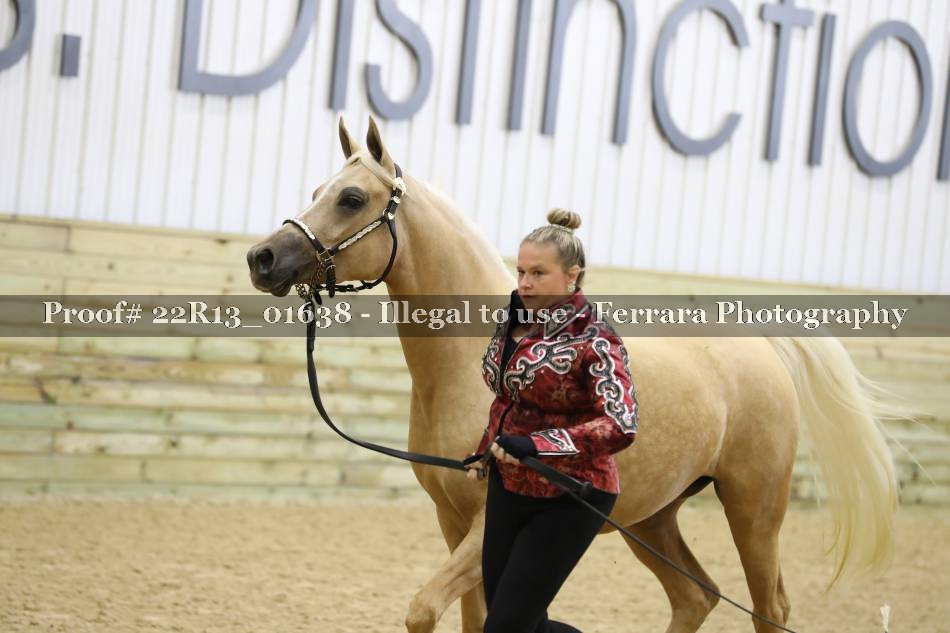 Proof 22R13_01638