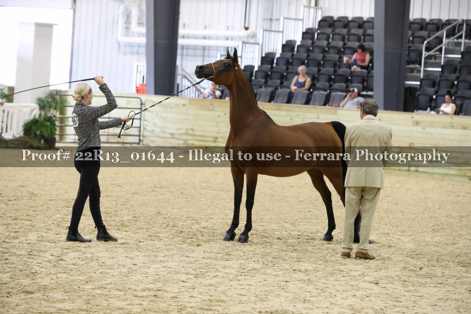 Proof 22R13_01644