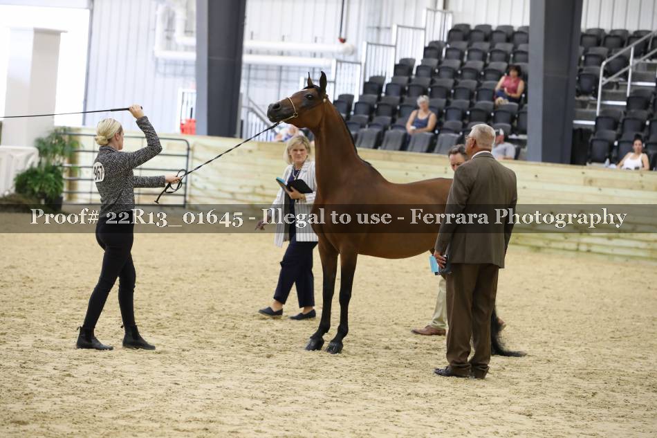 Proof 22R13_01645
