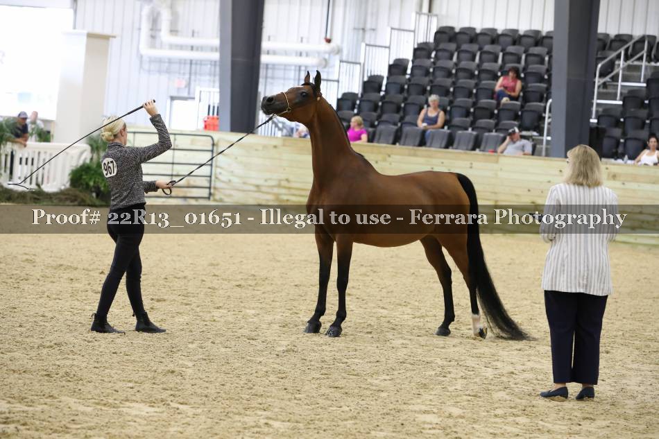 Proof 22R13_01651
