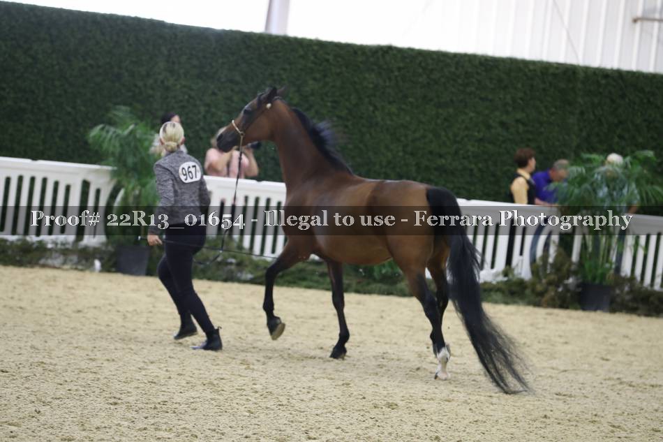Proof 22R13_01654