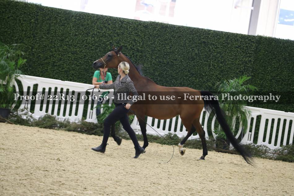 Proof 22R13_01656