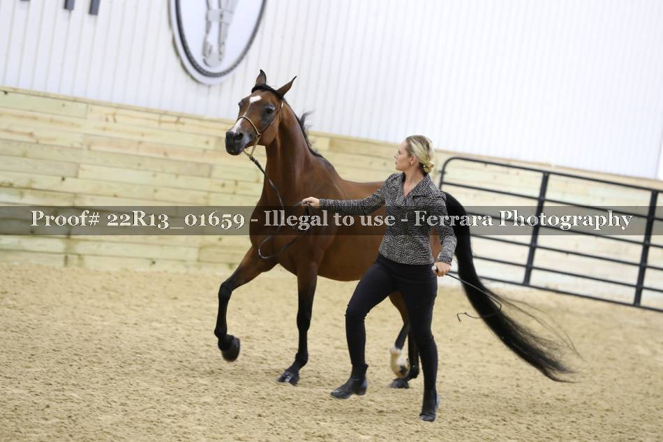 Proof 22R13_01659