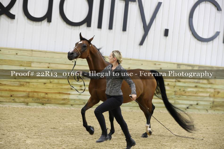 Proof 22R13_01661