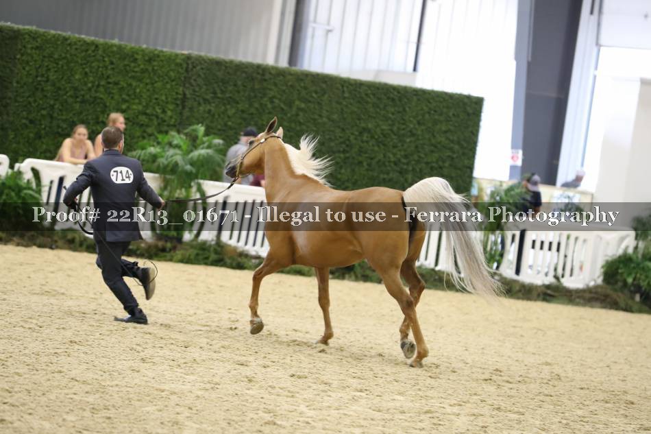 Proof 22R13_01671