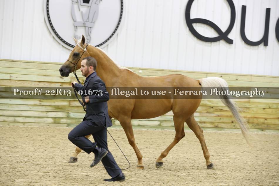 Proof 22R13_01673