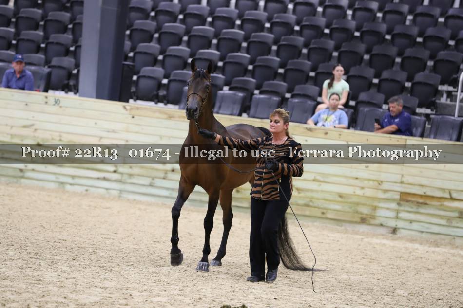 Proof 22R13_01674