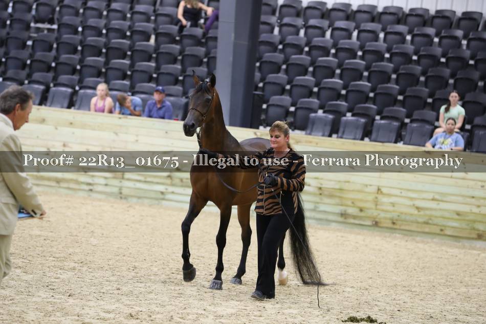 Proof 22R13_01675