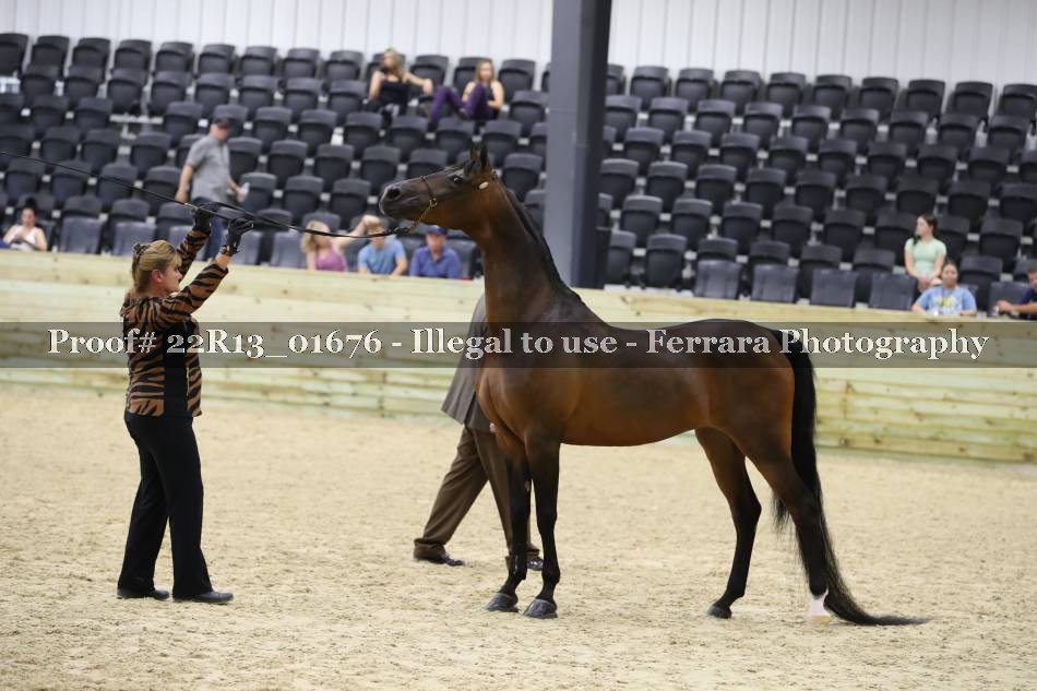 Proof 22R13_01676