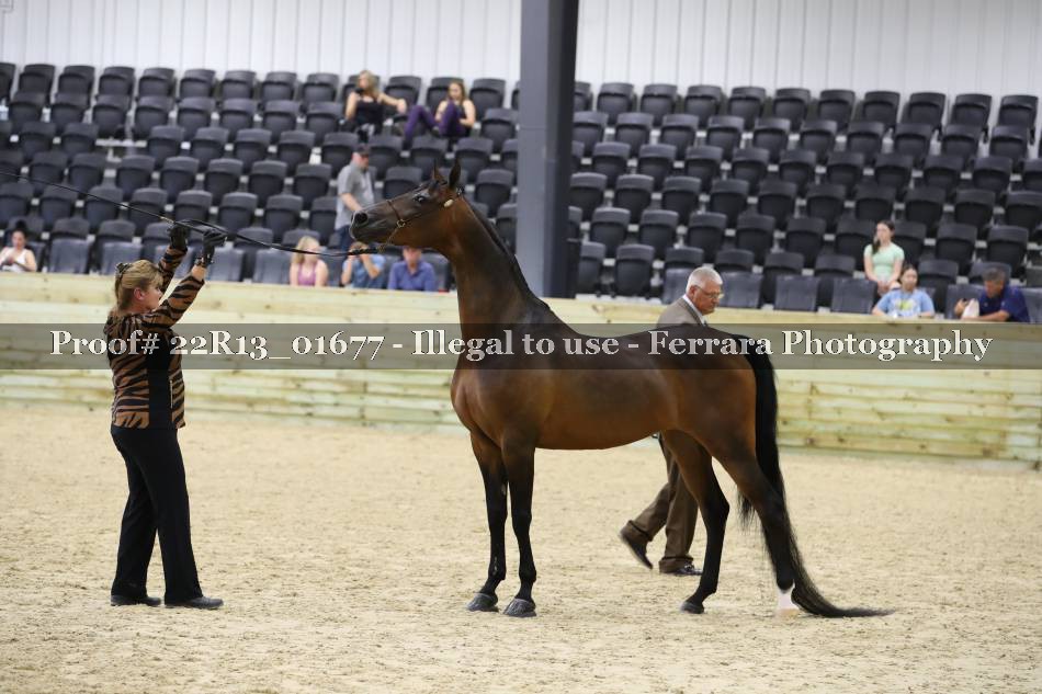 Proof 22R13_01677