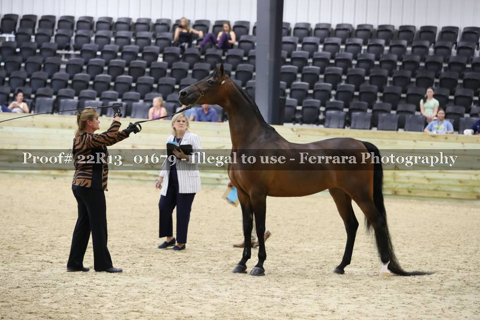 Proof 22R13_01679