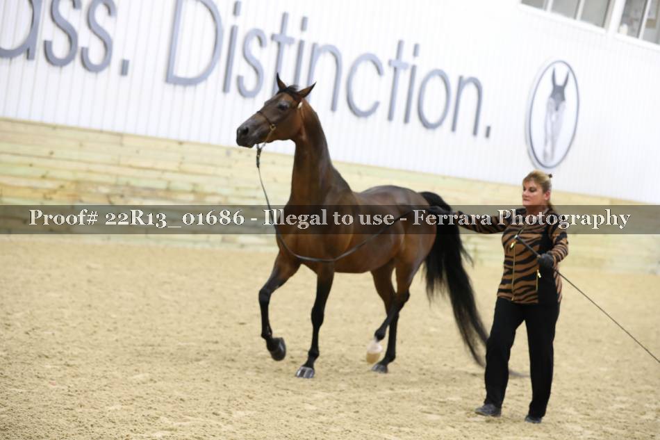 Proof 22R13_01686