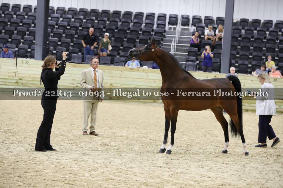 Proof 22R13_01693