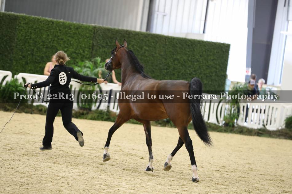 Proof 22R13_01695