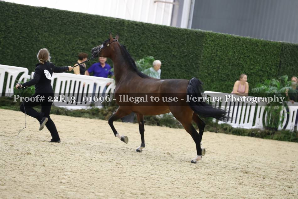 Proof 22R13_01696