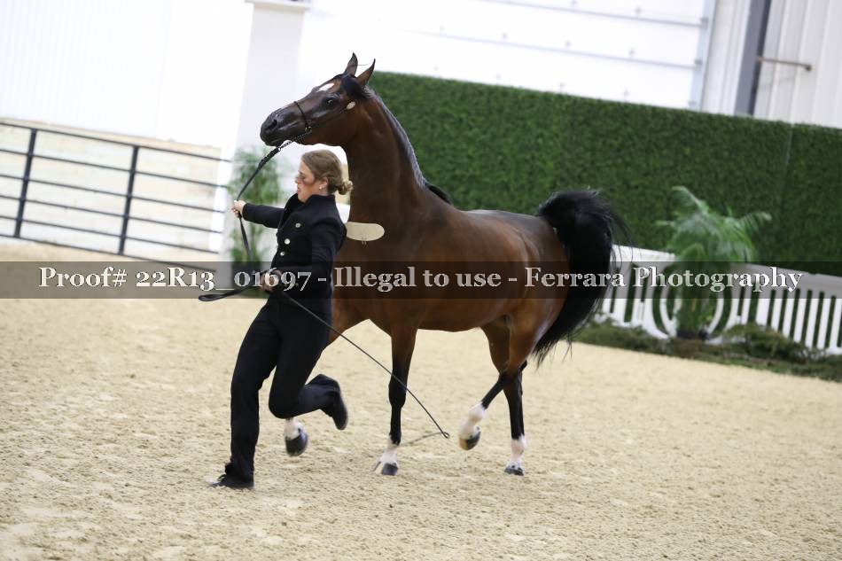 Proof 22R13_01697