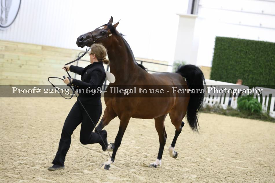 Proof 22R13_01698