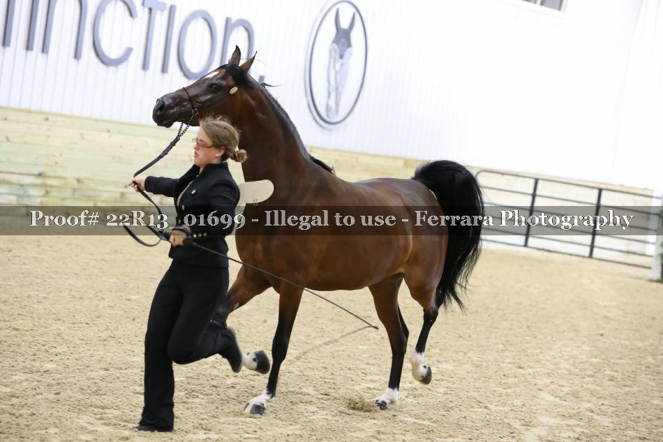 Proof 22R13_01699