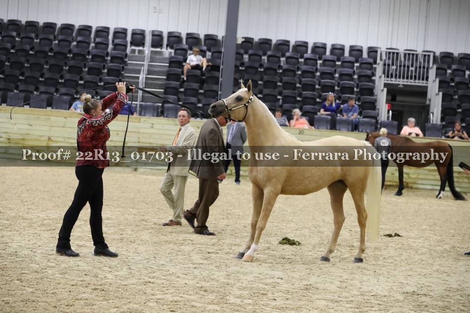 Proof 22R13_01703