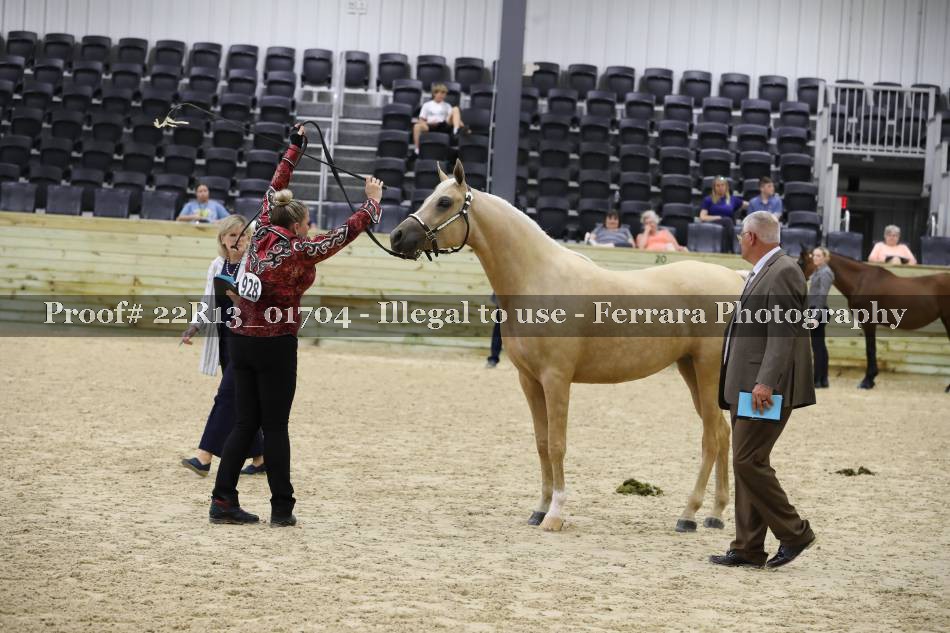 Proof 22R13_01704