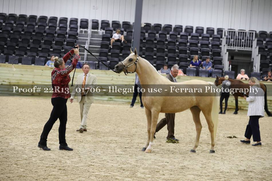 Proof 22R13_01706