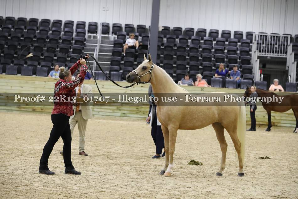 Proof 22R13_01707