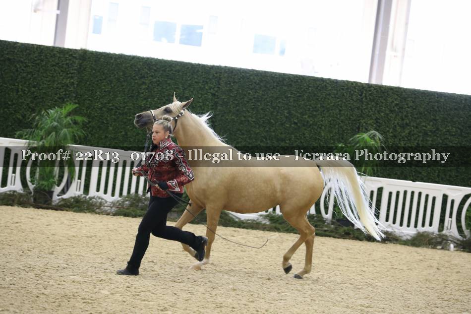 Proof 22R13_01708
