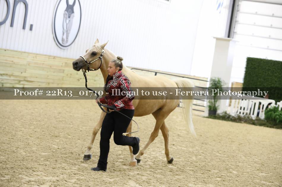 Proof 22R13_01710