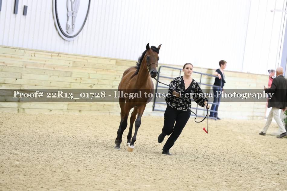 Proof 22R13_01728