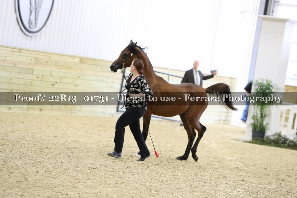 Proof 22R13_01731