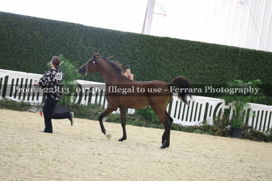 Proof 22R13_01746
