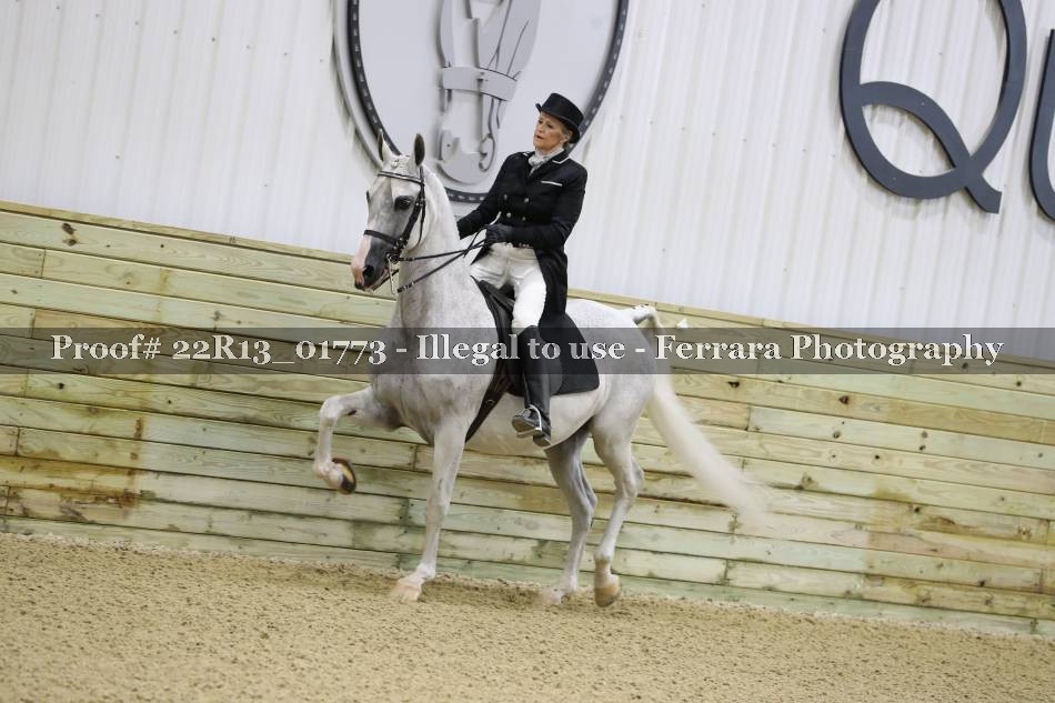 Proof 22R13_01773