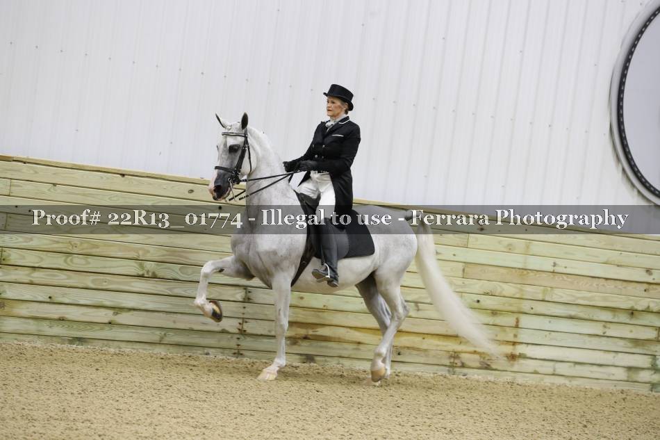 Proof 22R13_01774