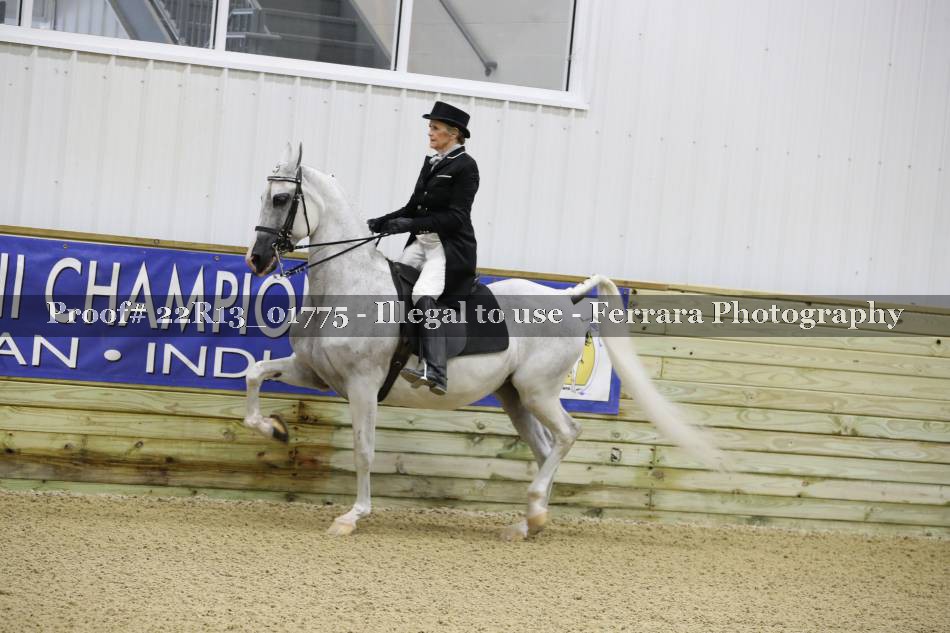 Proof 22R13_01775