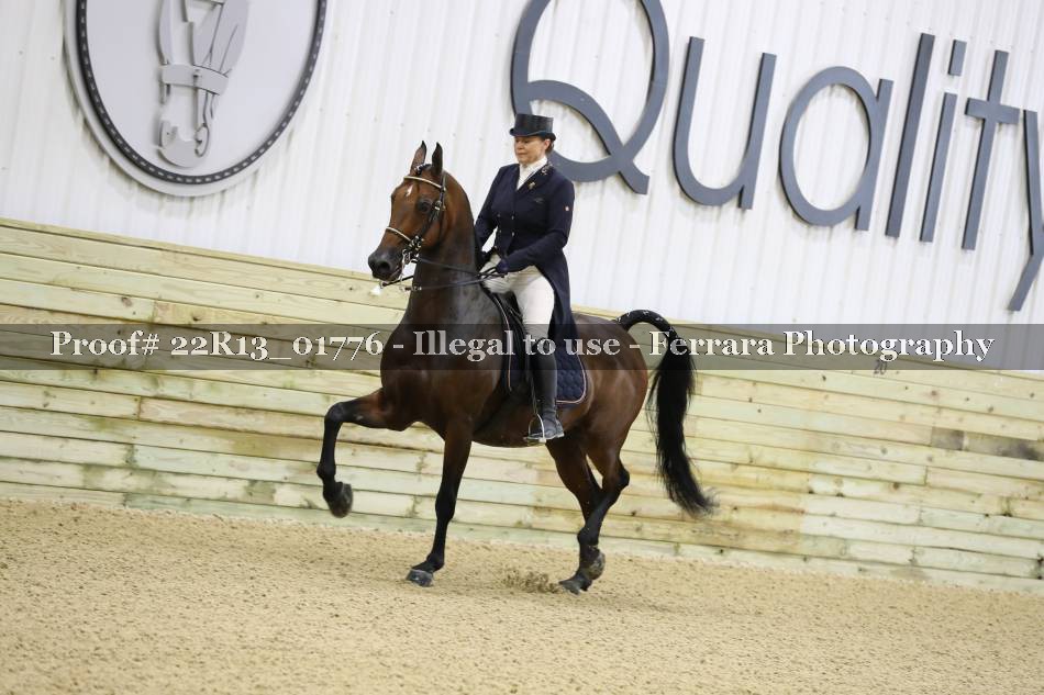 Proof 22R13_01776
