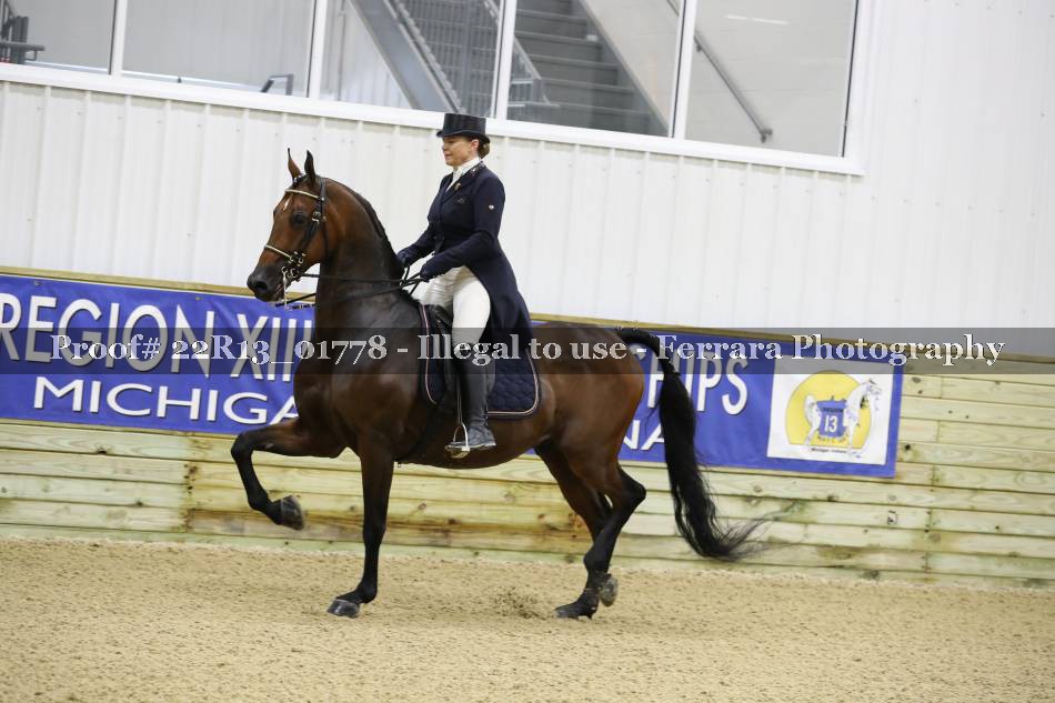 Proof 22R13_01778