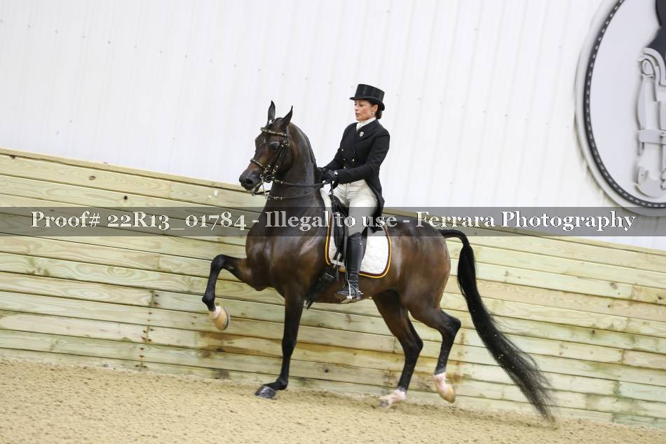 Proof 22R13_01784