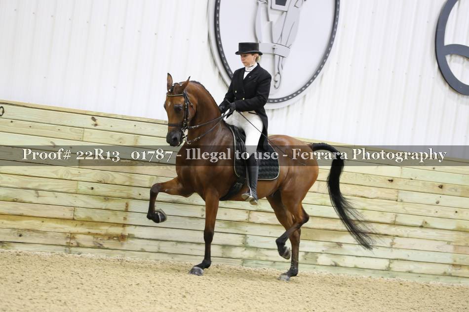 Proof 22R13_01787