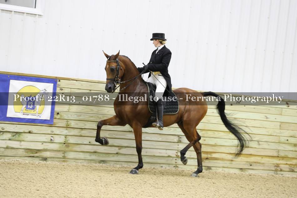 Proof 22R13_01788