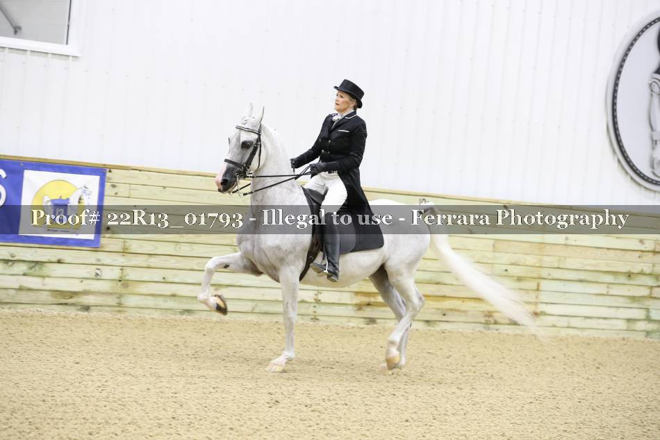 Proof 22R13_01793