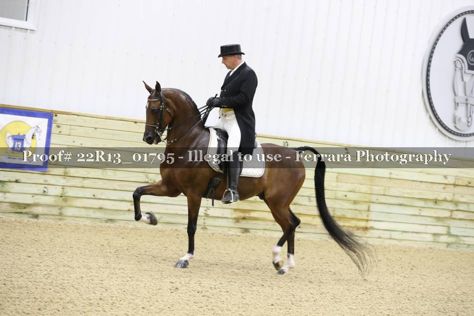 Proof 22R13_01795