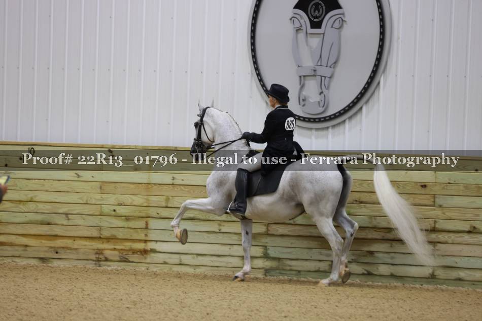 Proof 22R13_01796