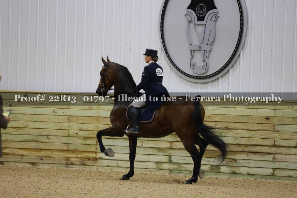 Proof 22R13_01797