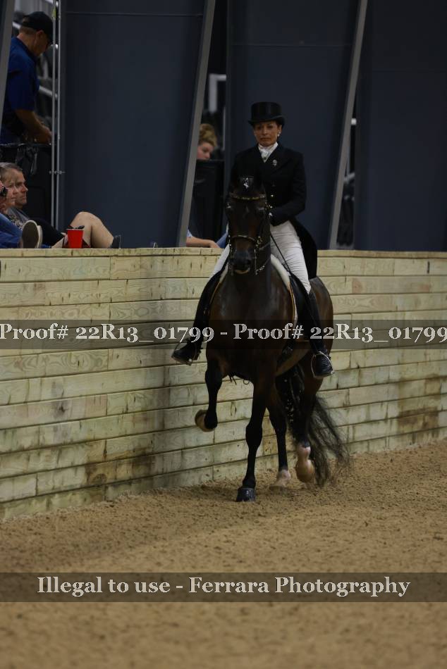 Proof 22R13_01799