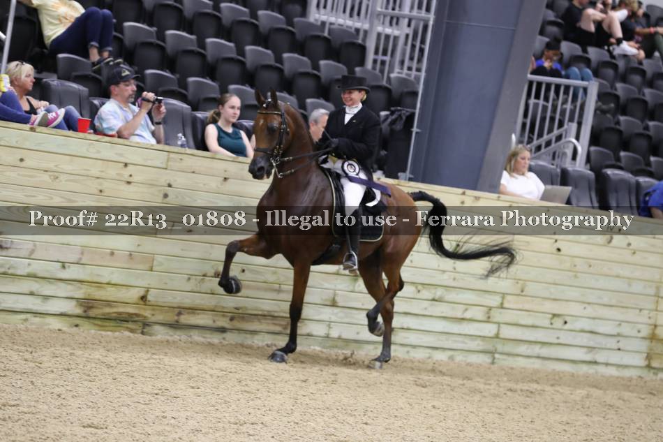 Proof 22R13_01808