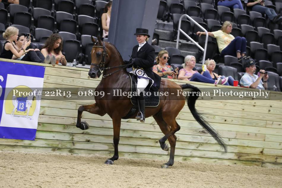 Proof 22R13_01809