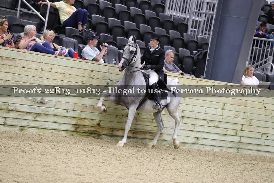 Proof 22R13_01813